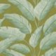 Papel Pintado Borneo 106547122