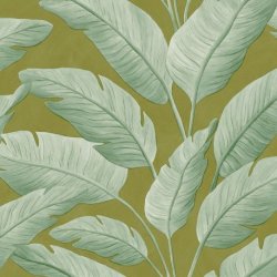 Papel Pintado Borneo 106547122
