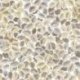 Papel Pintado Heritage 201201895