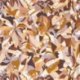Papel Pintado Lile Aux Oiseaux 75880814