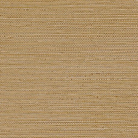 Papel Pintado Golfe du Bengale 75972140