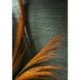 Papel Pintado Golfe du Bengale 75972344
