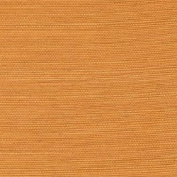 Papel Pintado Tribus RM106922