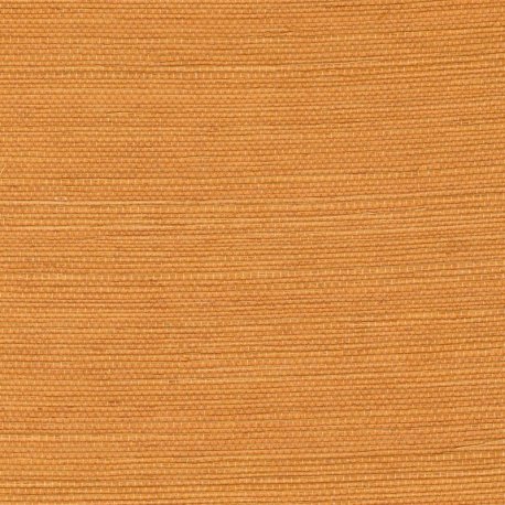 Papel Pintado Tribus RM106922