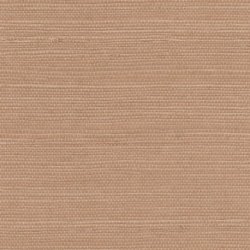 Papel Pintado Tribus RM106951