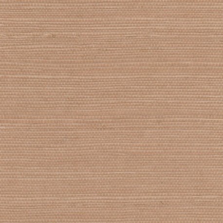 Papel Pintado Tribus RM106951