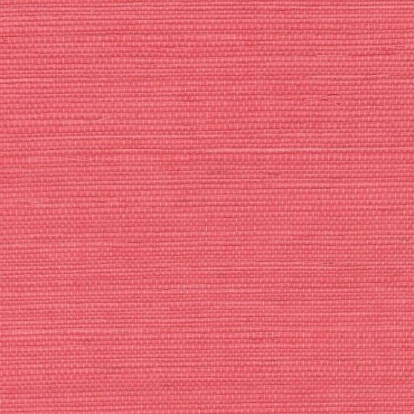 Papel Pintado Tribus RM106953