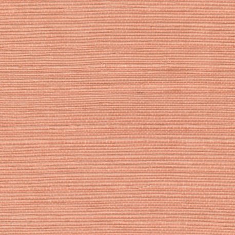 Papel Pintado Tribus RM106957