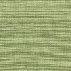Papel Pintado Tribus RM106963