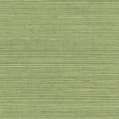 Papel Pintado Tribus RM106963