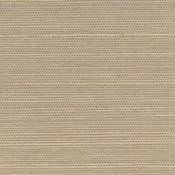Papel Pintado Tribus RM107004