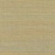 Papel Pintado Tribus RM107027