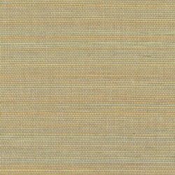 Papel Pintado Tribus RM107027