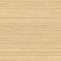 Papel Pintado Tribus RM107392