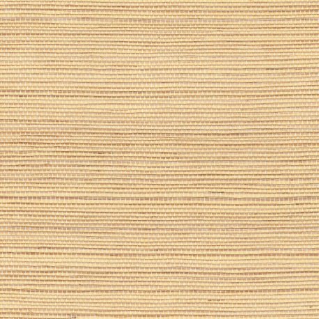 Papel Pintado Tribus RM107392