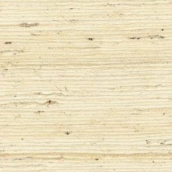 Papel Pintado Tribus RM108301