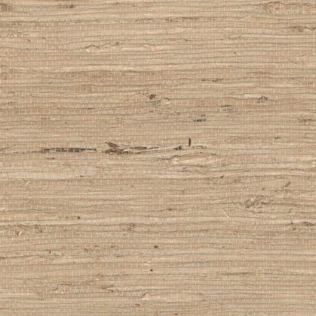 Papel Pintado Tribus RM108305