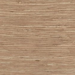 Papel Pintado Tribus RM108307