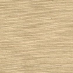 Papel Pintado Maestria RM106911