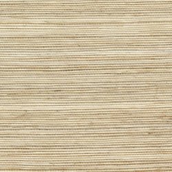 Papel Pintado Maestria RM107002