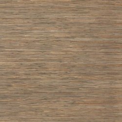 Papel Pintado Natural Discovery NT6101