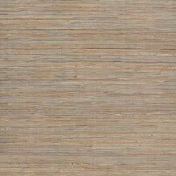 Papel Pintado Natural Discovery NT6102