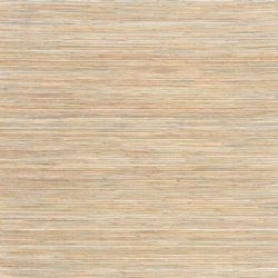 Papel Pintado Natural Discovery NT6103