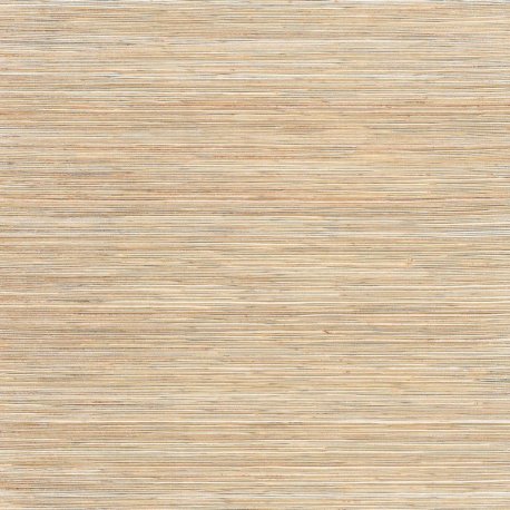 Papel Pintado Natural Discovery NT6103