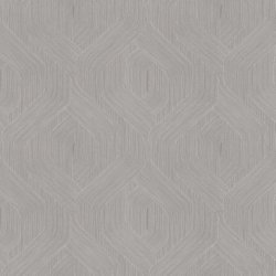 Papel Pintado Natural Discovery NT6191