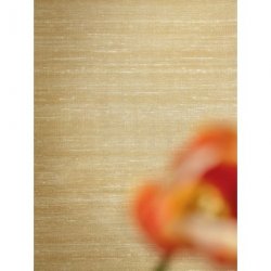 Decoración con Papel Pintado Elixir de Soies VP92815