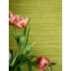 Decoración con Papel Pintado Elixir de Soies VP92865
