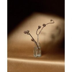 Decoración con Papel Pintado Velatura RM108786