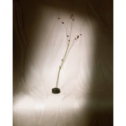 Decoración con Papel Pintado Velatura RM109931