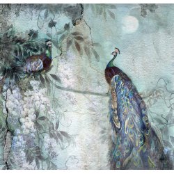 Fotomural Pavos Reales 8752B