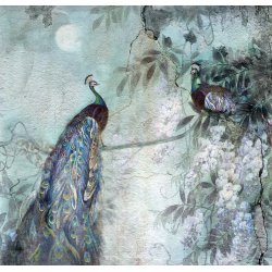 Fotomural Pavos Reales 8752C