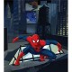 Fotomural Spiderman On Root Ftdl-1920