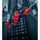 Fotomural Spiderman On City At Night Ftdl-1921