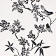 Papel vinílico pájaros sobre ramas en flor 59190116