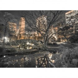 Fotomural W4P Central Park 001