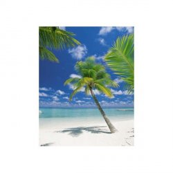 Decoración con Fotomural Ari Atoll-1958