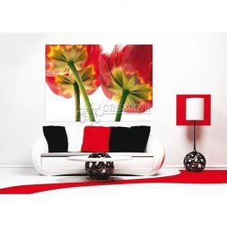 Decoración con Fotomural FLOWERS-2878