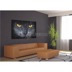 Decoración con Fotomural GREY CAT-2882