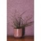 Papel Pintado Montana MAA80545120