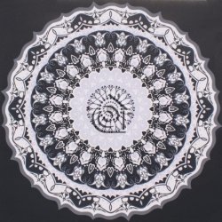 Papel Pintado Kompassi 4977-3