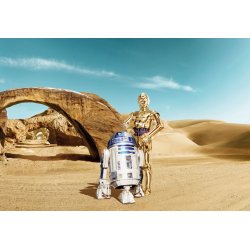 Fotomural Star Wars Lost Droids 8-484