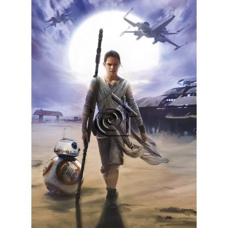 Fotomural Star Wars Rey 4-448