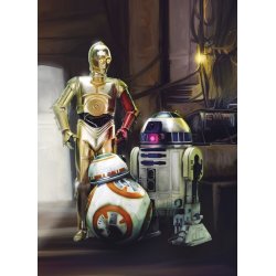 Fotomural Star Wars Three Droids 4-447
