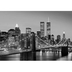 Fotomural Manhattan Skyline At Night