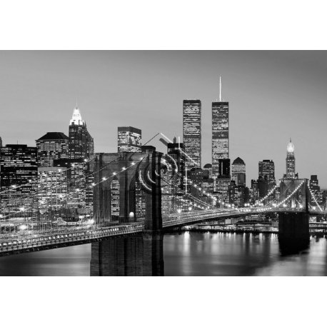 Fotomural Manhattan Skyline At Night