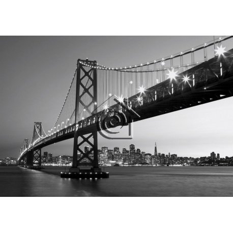 Fotomural San Francisco Skyline
